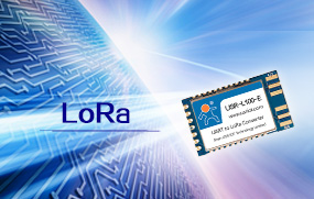 lora？榈挠湃钡