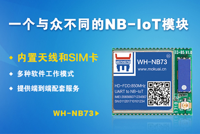 有人做了一个与众不同的NB-IoT？