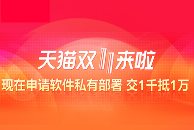 双11不孤单，有人准备这些来陪你