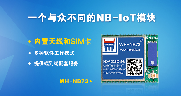 “有人”做了一个与众不同的NB-IoT模块