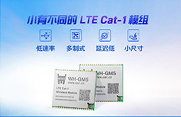 LTE Cat-1男矶嗔？ GM5