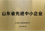 2024 山东省先进中小企业