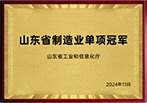 2024 山东省制造业单项冠军