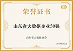 2024 山东省大数据企业50强