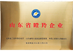 山东省瞪羚企业