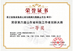 第六届山东省科技工作者创新大赛一等奖